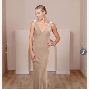 Revelry: Dakota velvet dress